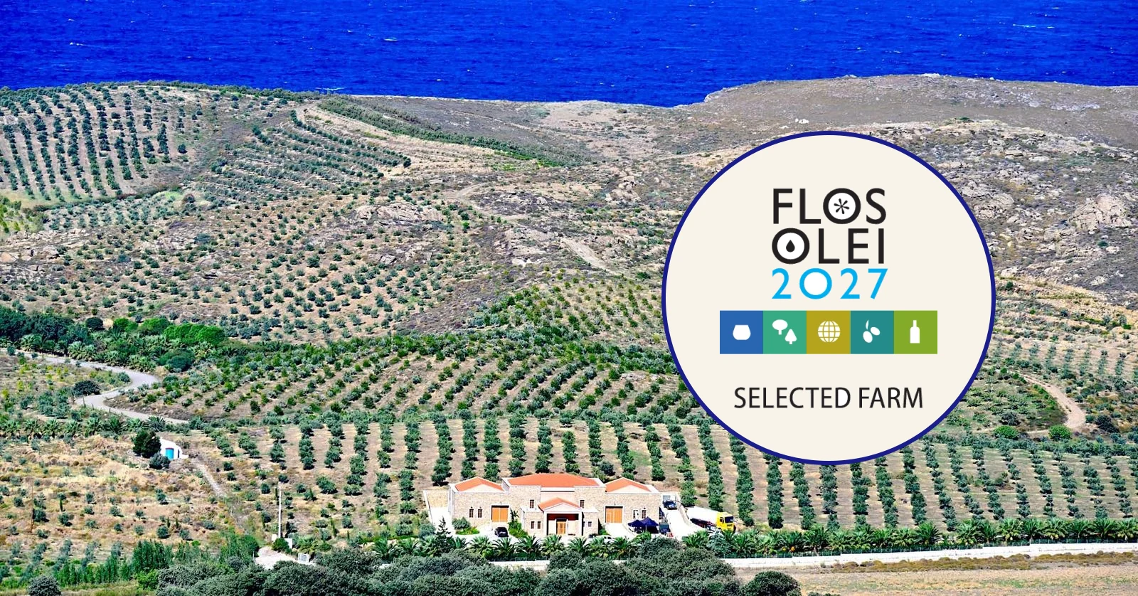 Ελαιόδεντρα στο Κτήμα Φάρος δίπλα στη θάλασσα, με το λογότυπο του Flos Olei 2027