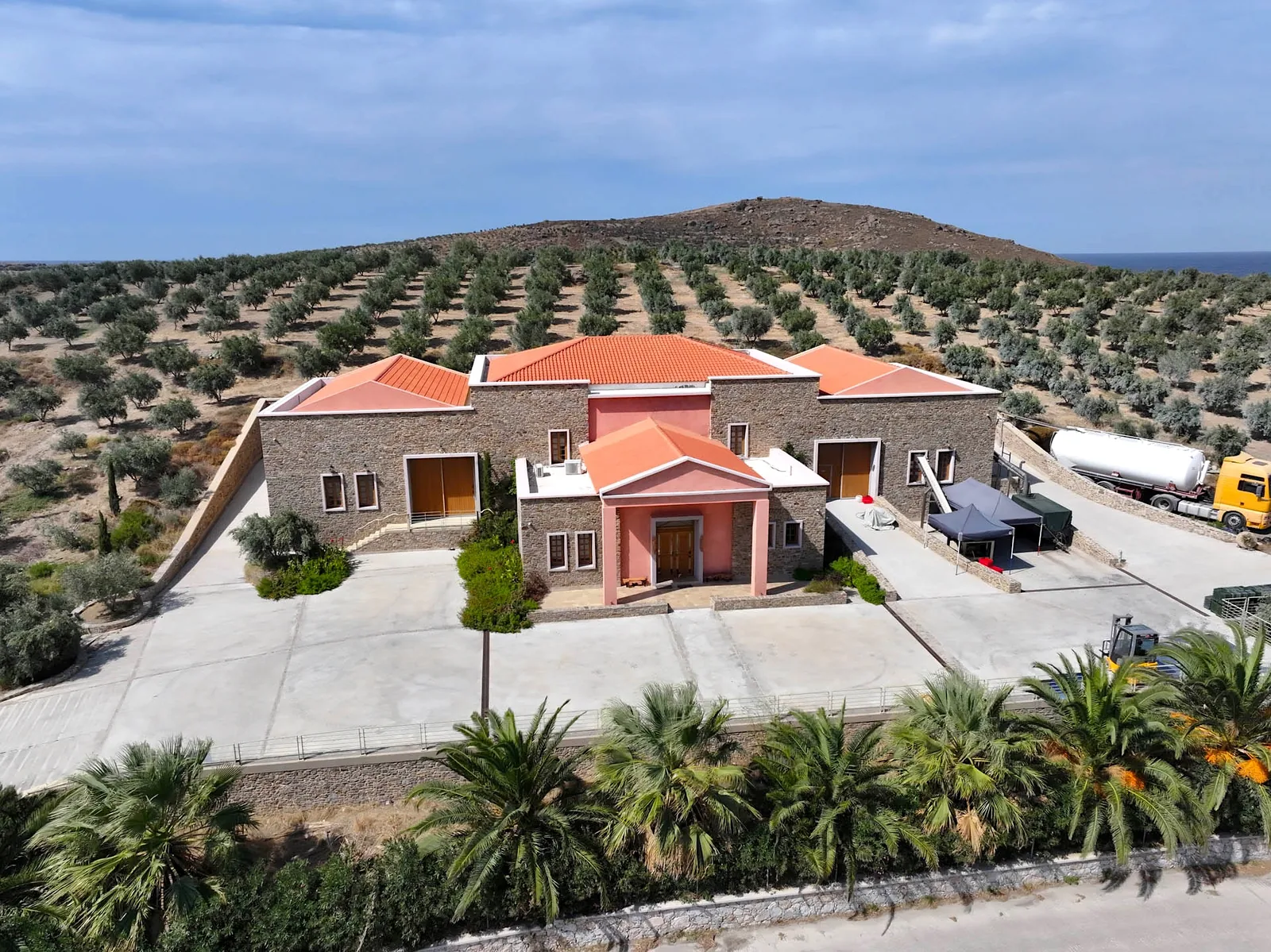 Το Sigri Olive Mill από ψηλά, με φοίνικες μπροστά και ελαιώνες πίσω