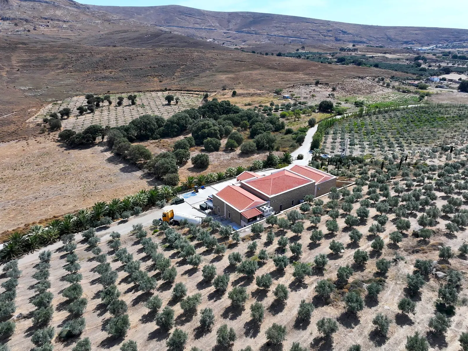 Σειρές ελαιόδεντρων γύρω από το ελαιοτριβείο, από ψηλά